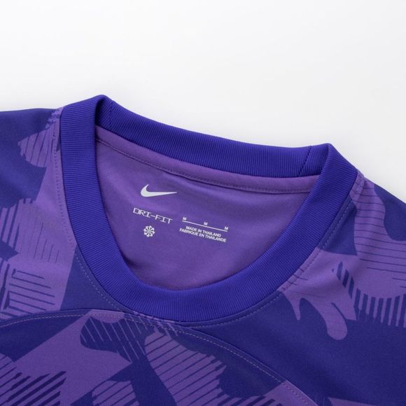 Nike Hiroshima Sanfrecce Home Authentic Jersey 2023 size L DO8340-545 - Picture 7 of 13